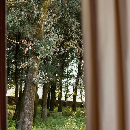 Borgo Belsedere - At A Historic Estate In Tuscany * تريكواندا